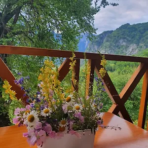 Davisol Albania