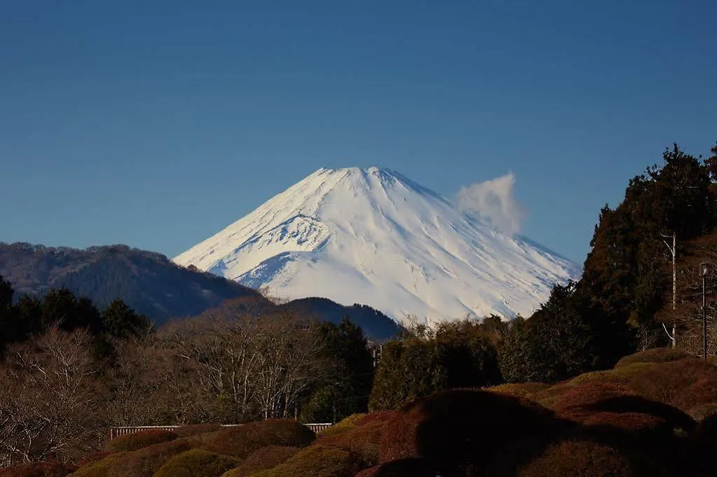 Odakyu Hotel De Yama Hakone