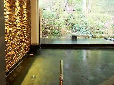 Odakyu Hotel De Yama Hakone